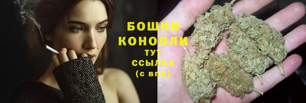 Альфа ПВП Осинники