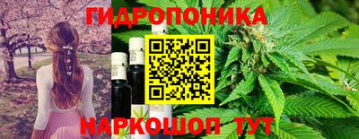 apvp Берёзовский
