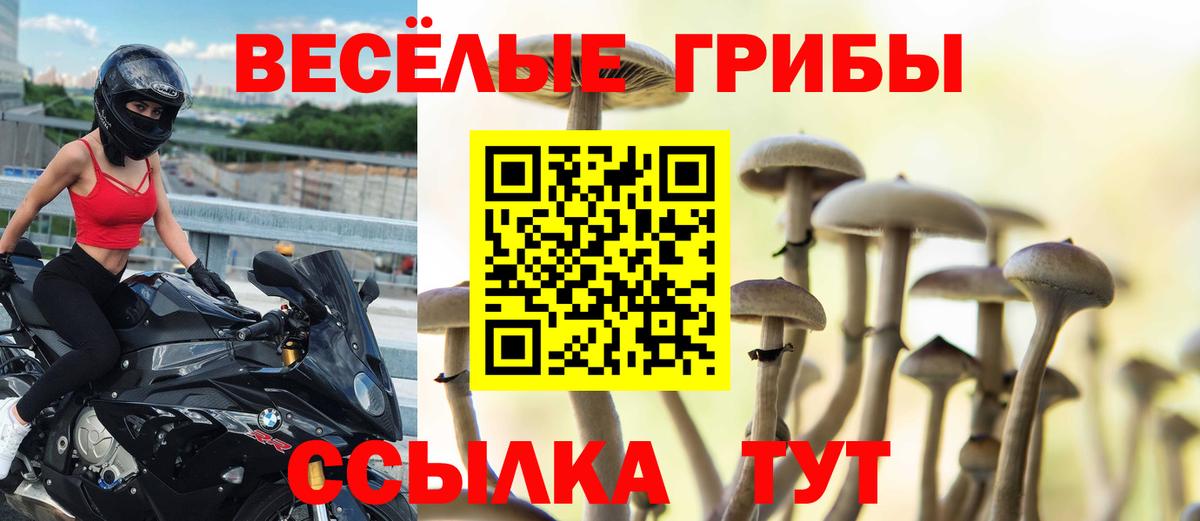 Галлюциногенные грибы GOLDEN TEACHER Жуковский