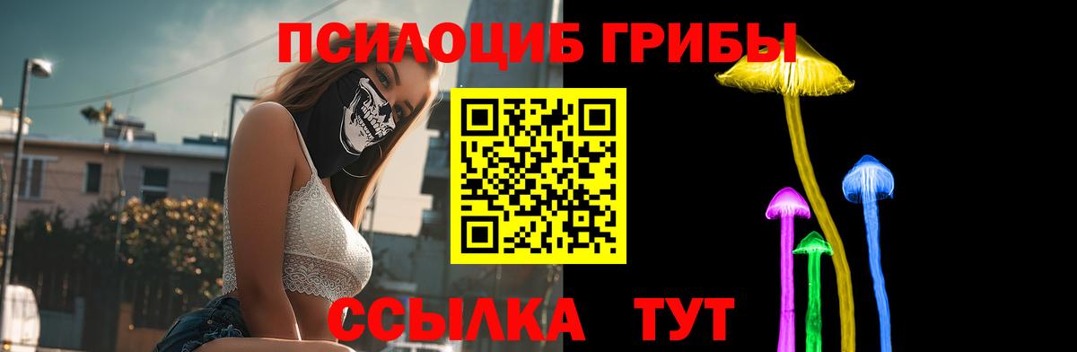Жуковский  цены наркотик  Вход с VPN  Псилоцибиновые грибы Psilocybine cubensis 