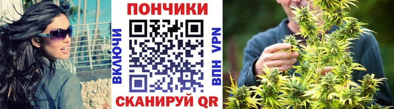 мега сайт Жуковский Бошки Шишки марихуана shop Telegram купить